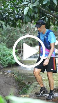 BIB:  <button type="button" onclick="openModal(27824437)" class="btn btn-primary btn-sm float-right" data-toggle="modal" data-target=".modal-high-quality">
                <i class="fa fa-download"></i> Download
                </button>